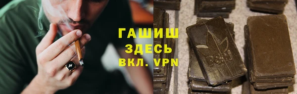 винт Ельня