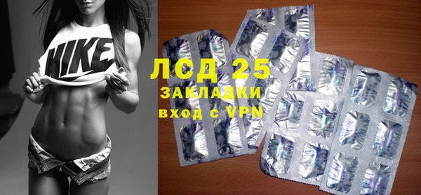 винт Ельня