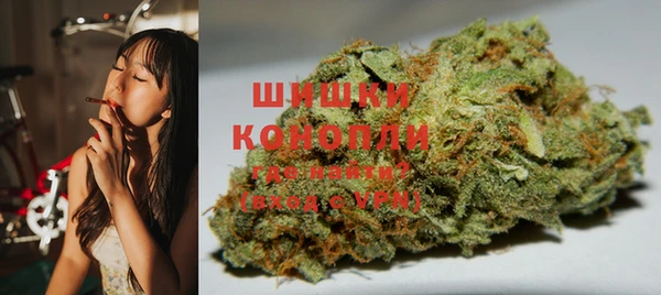 винт Ельня