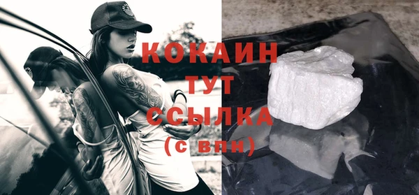 винт Ельня